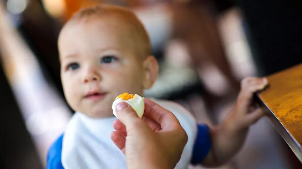 baby eating egg header
