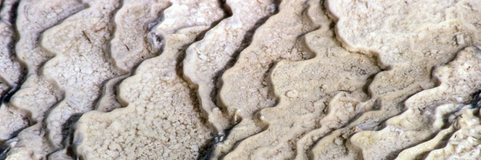 Bacteria 16861 travertine 1