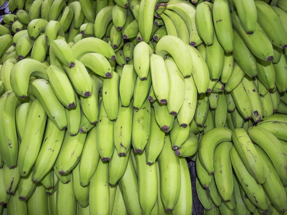 bananas green 638194406 59009d635f9b581d59ba1afb