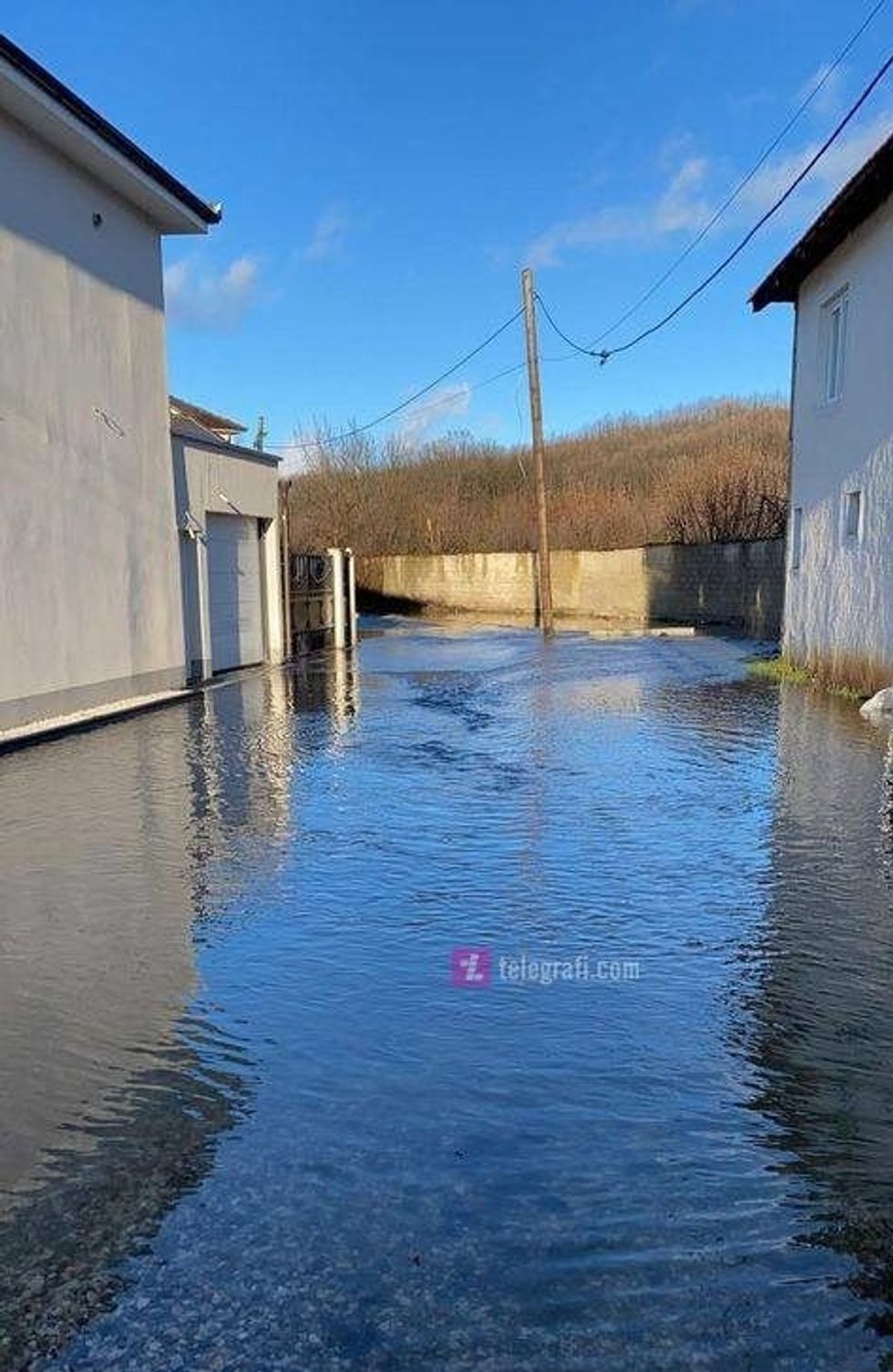 baran 2 e1611664669101