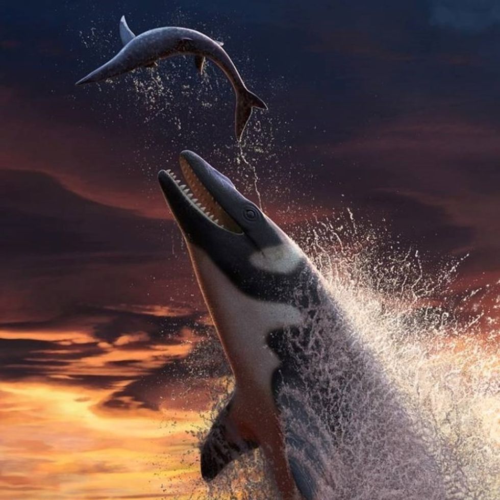 bd3b2c43 795e 4d87 9149 639f3a41bbff