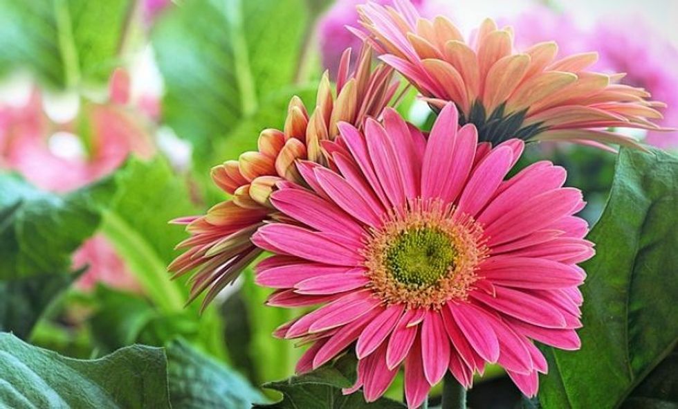 bd45e51c172e7443f615677e120f707839f0a