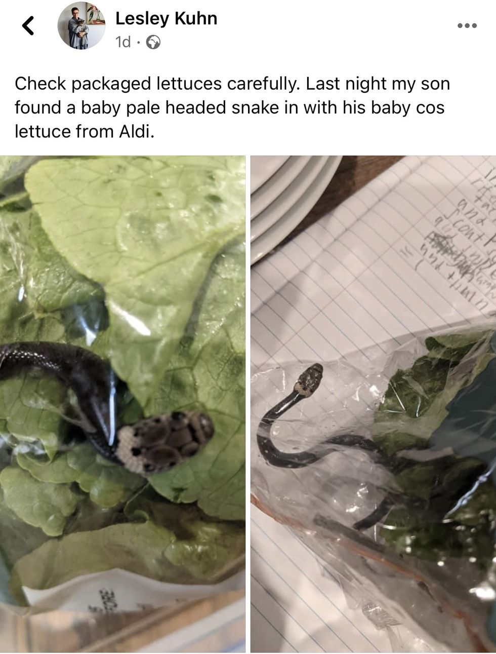 BE9918F2 F78B 4A8D AFFF 0D836C57DEAD