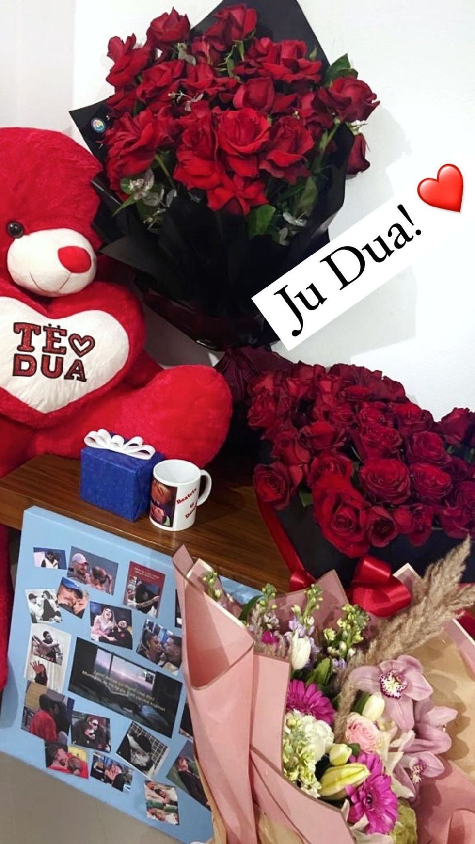 beatrixramosaj 273958532 316415853774040 669442440676588364 n 1