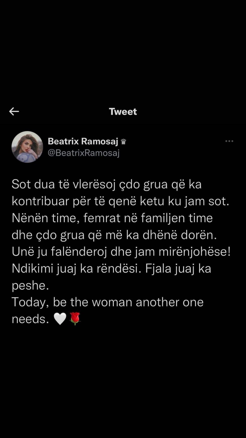 beatrixramosaj 275448409 488907179516784 5951476966261311848 n 1