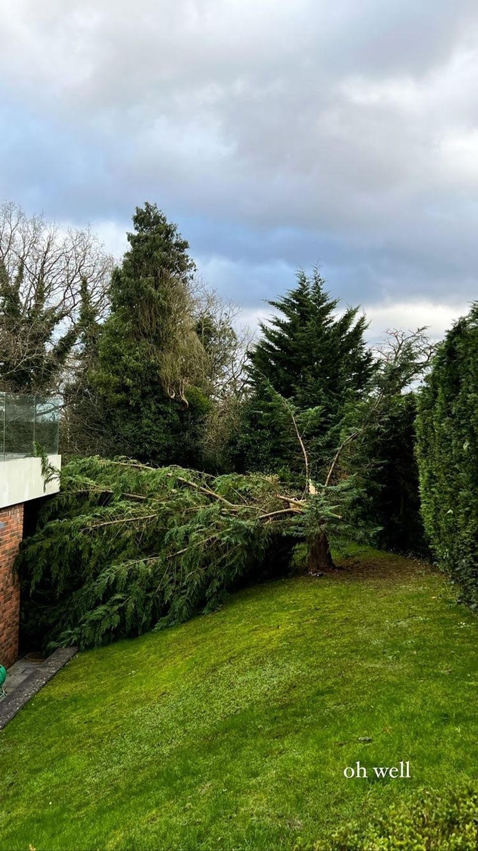 Bernd Leno shared an image of a fallen tree in his back garden