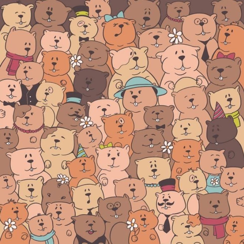 best bear none eyes hawk 816203460