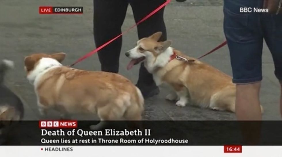 bf2edde7 2879 4011 b0df 47fb2917a076