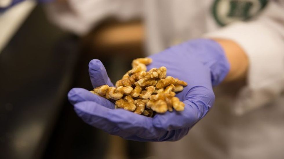 BGY3FDPH3ZMXZNGFEG36SWTMPU