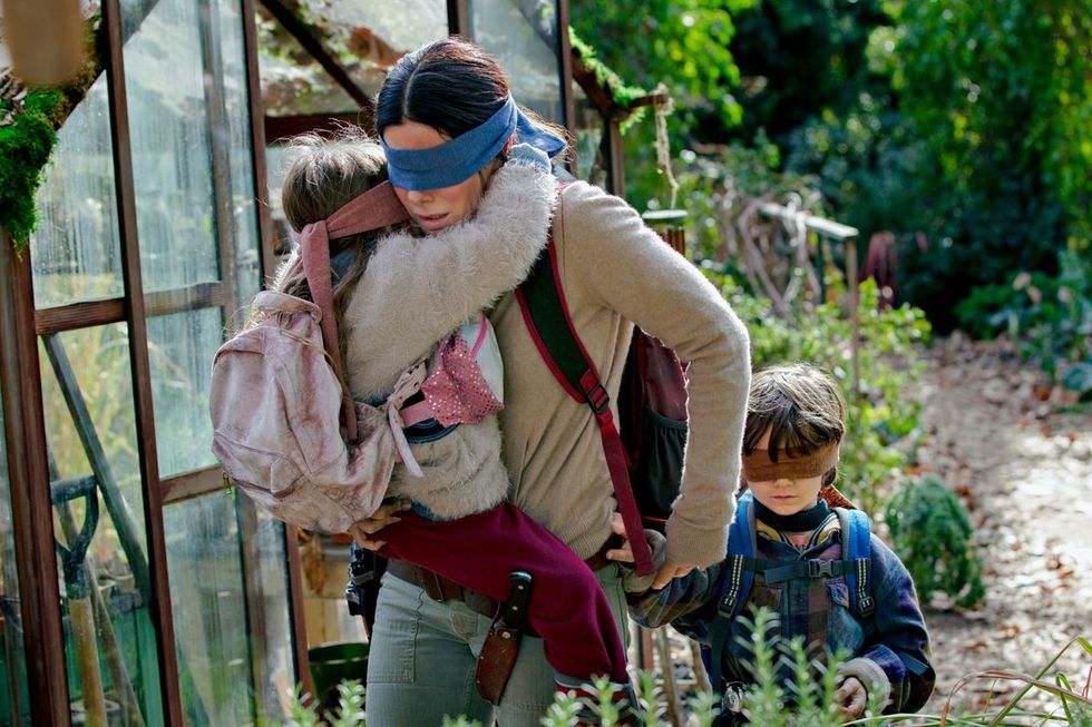 birdbox.0