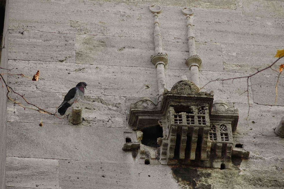 Birdhouse 02 ShutterstockHalitomer 1