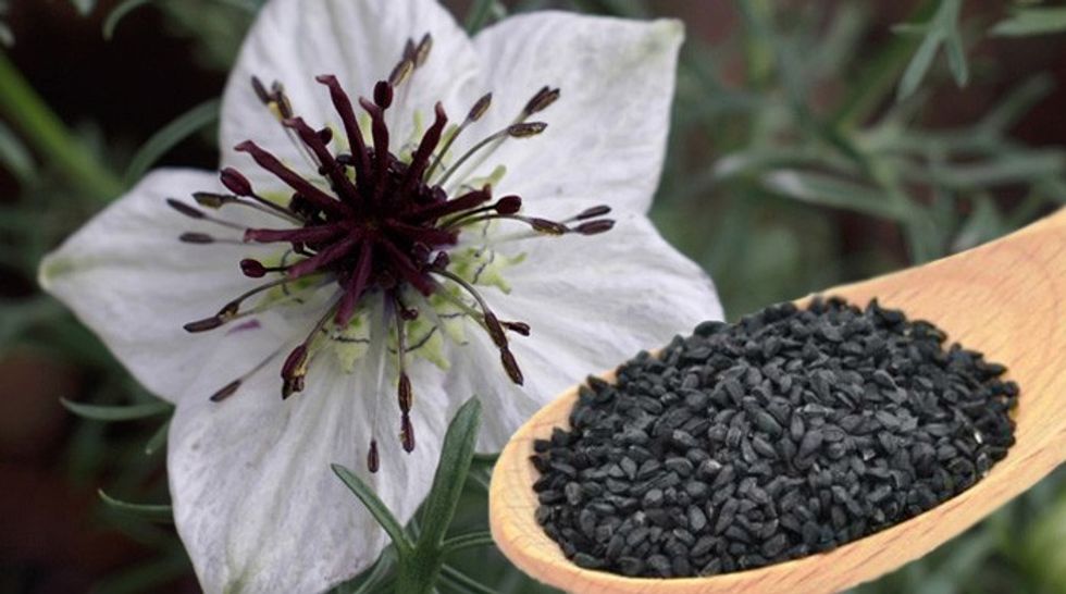 black-seed-nigella-sativa