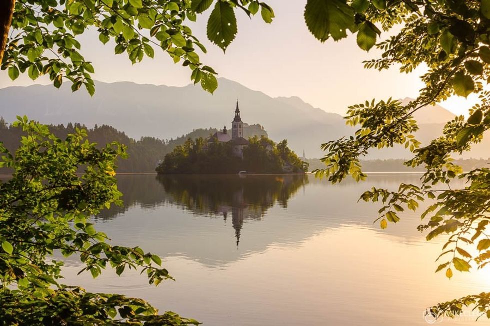 bled
