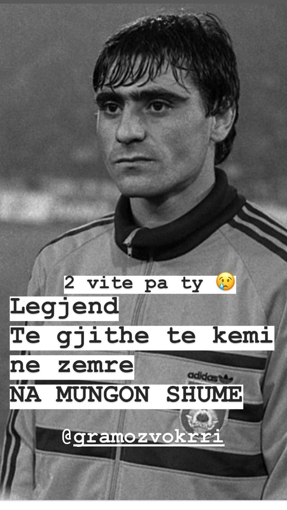 bleromuharremi 102394845 2797229940507197 6298305736884336623 n