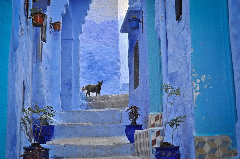 blue14