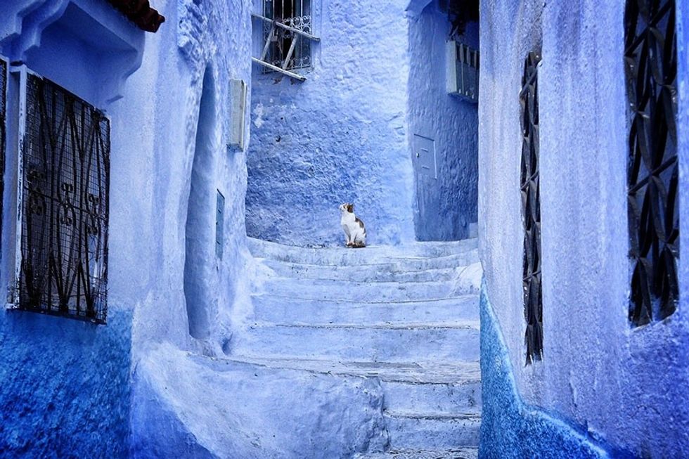 blue15