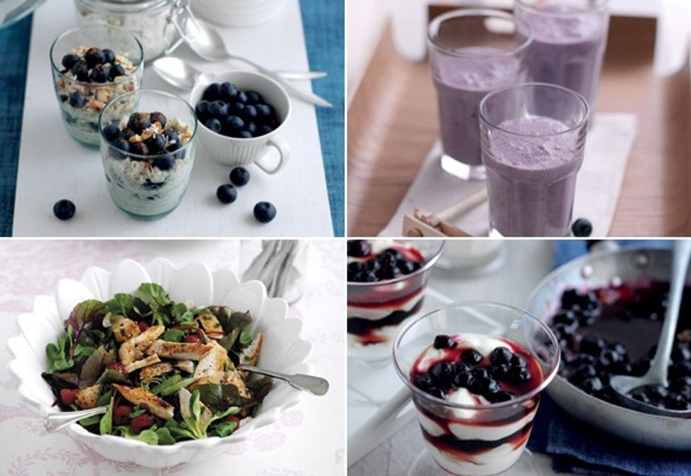 Blueberry recipes z