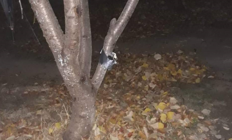 Bomba ne oborrin e pjesetarit te FSKse 01 foto KALLXOcom 1