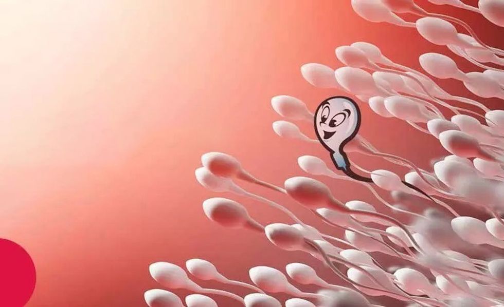 Boost Sperm Count Fast