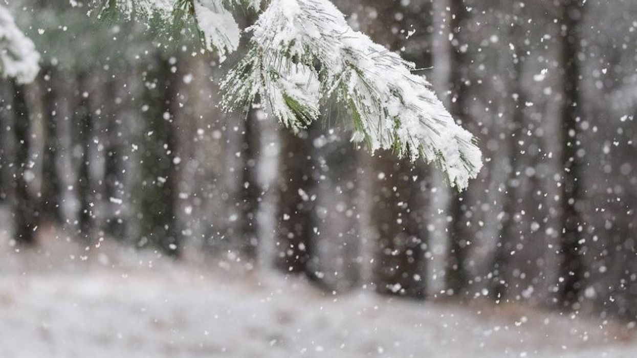 Këtë javë priten reshje të borës në Maqedoni