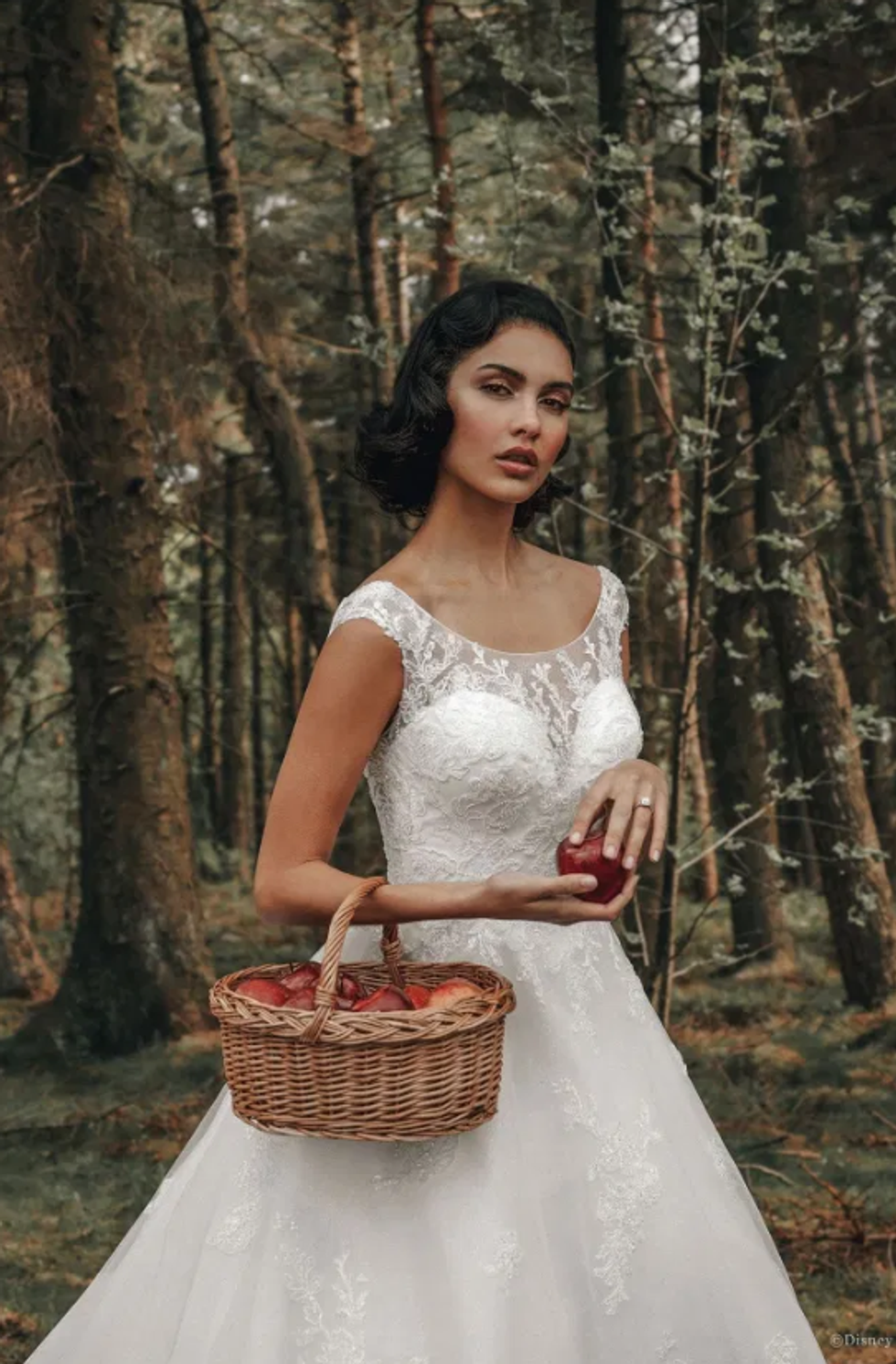 borebardha e1593606959172