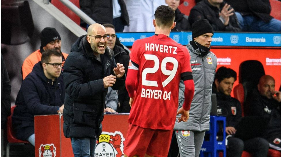 bosz havertz
