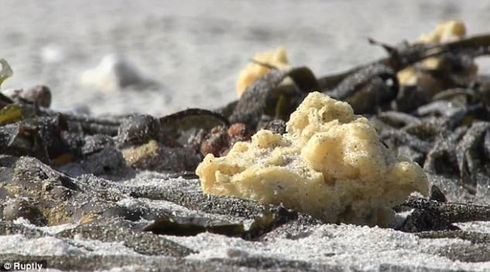 Bregdeti mbushet me objekte misterioze foto 4