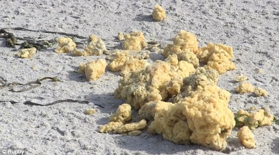 Bregdeti mbushet me objekte misterioze foto 5