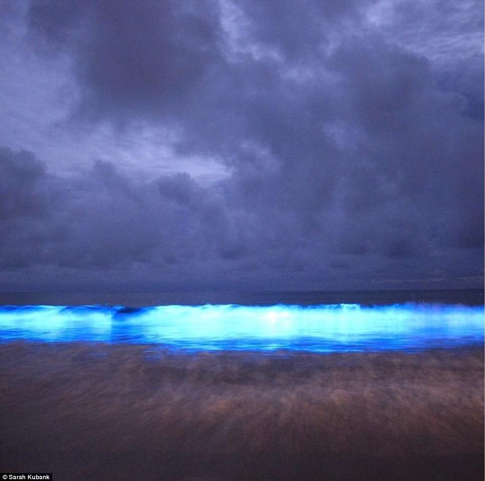 Bregdeti ndriçohet nga fenomeni i rrallë nënujor foto 4