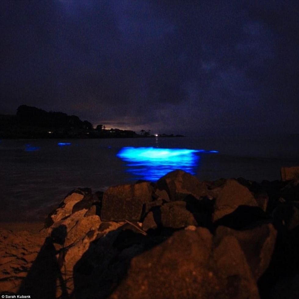 Bregdeti ndriçohet nga fenomeni i rrallë nënujor foto 5