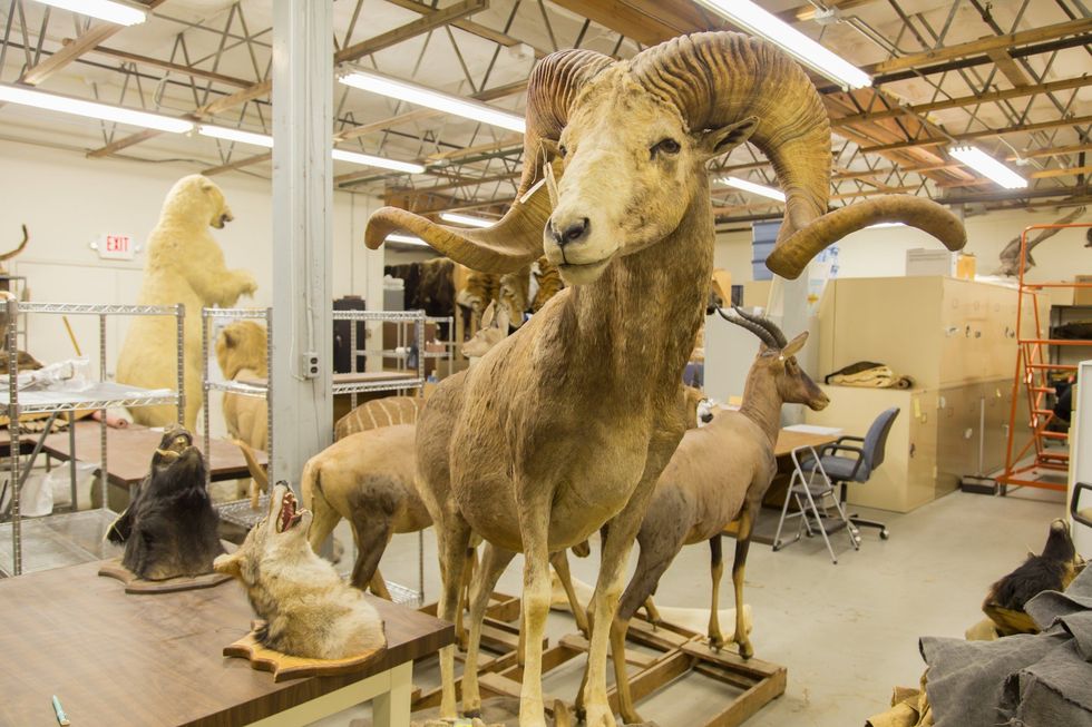 Brenda laboratorit të vetëm qe merret ekskluzivisht me krimet mbi boten e eger foto 2