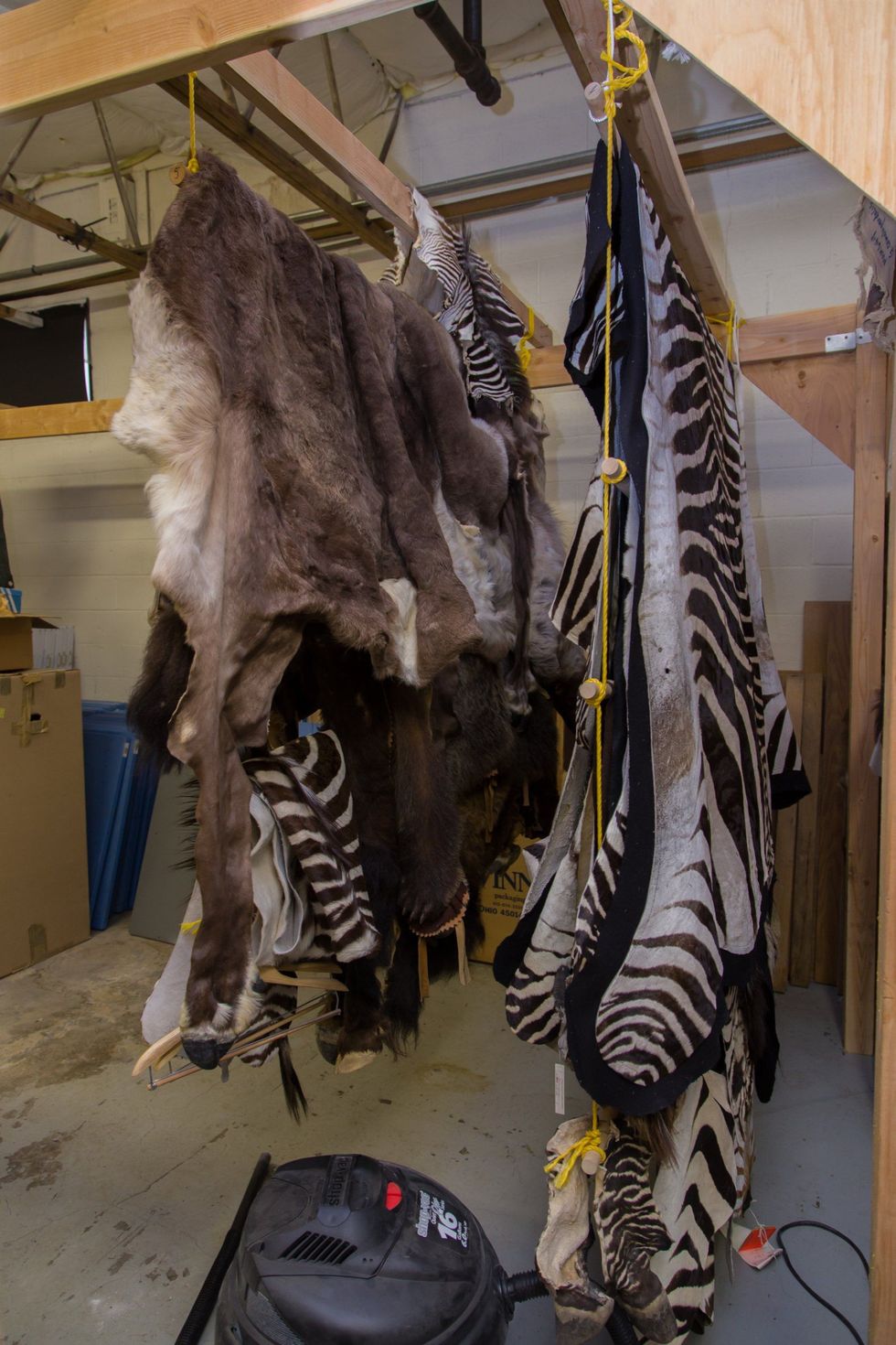 Brenda laboratorit të vetëm qe merret ekskluzivisht me krimet mbi boten e eger foto 5