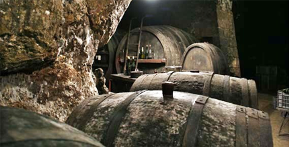 BrettanomycesImage03