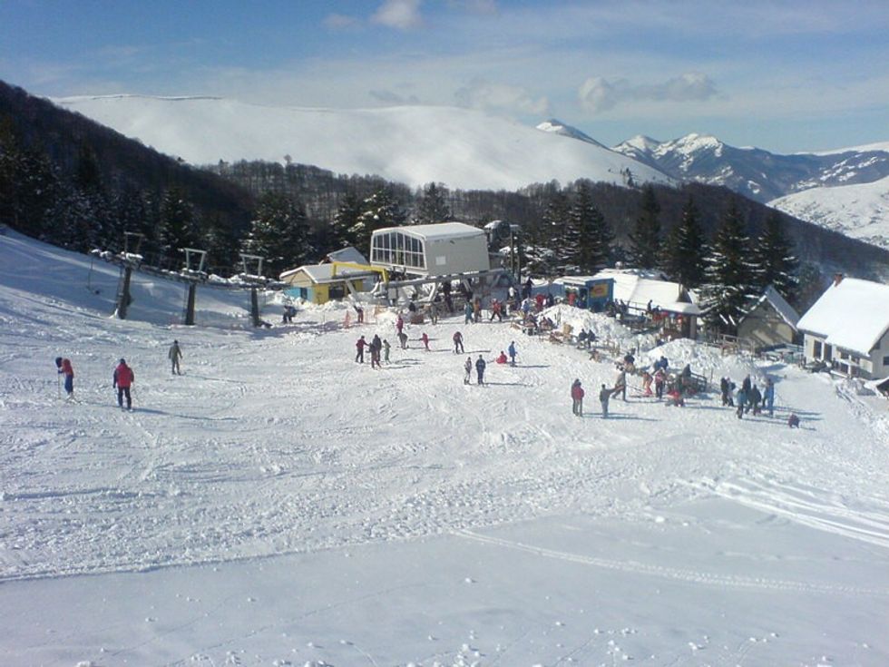 Brezovica