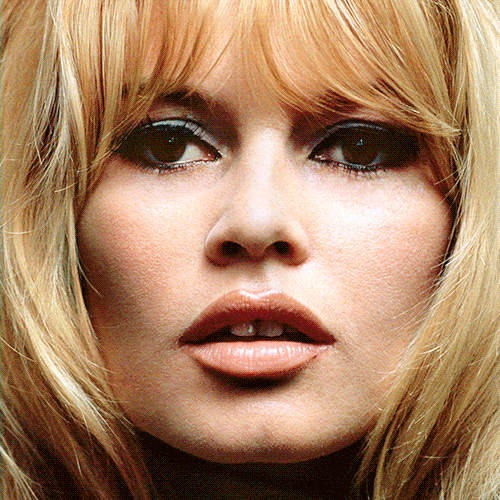 brigitte bardot doppelgangers module1