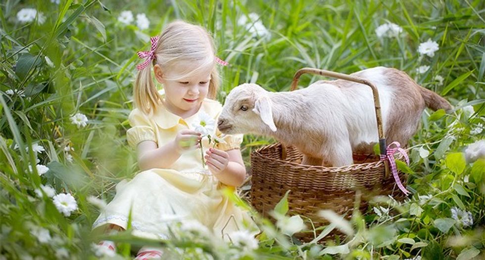 Brisbane Baby; Children & Family Portrait Photography ~ Peas & Carrots Photography.; Award winning children's portraiture by Nikki Joyner.; Nikki Joyner is a full accredited member of the AIPP and the WPPI.; Nikki is known for her whimsical and unique images of children and animals all around Brisbane and Australia wide.; Children's photographer Nikki Joyner is well known for her images of children and animals at play all over Brisbane and Australia wide.; Tom & Jerry are the new baby goats on the property.; Little girl and baby goat sharing a moment together in the long grass surrounded by sweet white chrysanthemums so adorable, baby goat named Tom in the basket with little girl wearing lemon yellow 50's style tea dress and red and white gingham ribbons and gumboots sharing flowers in the long grass together.; Peas & Carrots Photography specialises in children's photography art; babies; children; families and animals.; Tom & Jerry are one of the seven goats born on the property recently; they are just two weeks old.; Baby goats and young girl 2 years old smelling flowers together; vintage styled children's portrait session with animals.