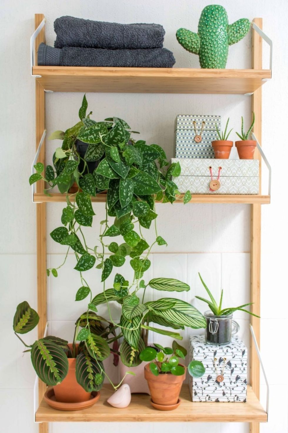 brotherrs bath filter 1