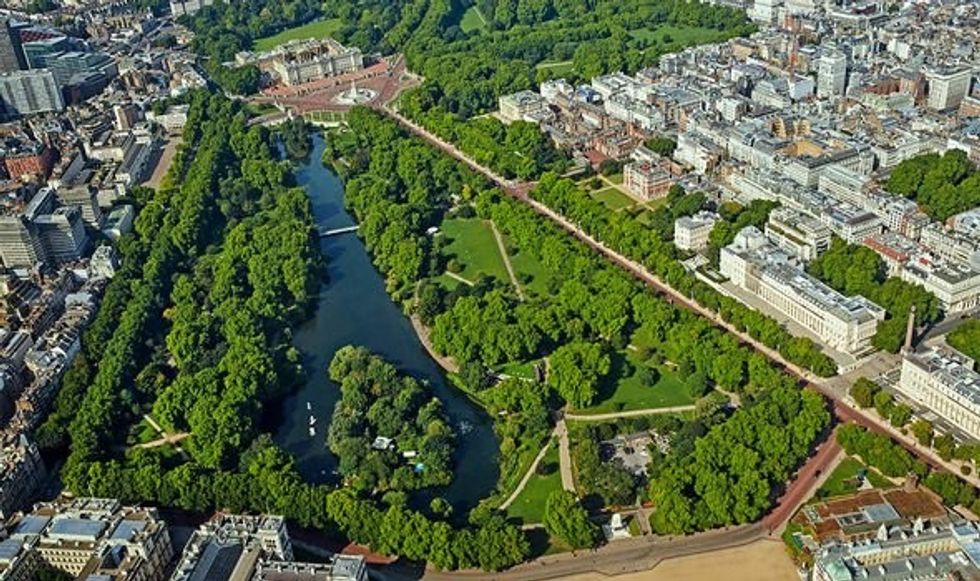 Buckingham Palace s secret garden uncovered How royals make their own honey in secluded retreat 3651308