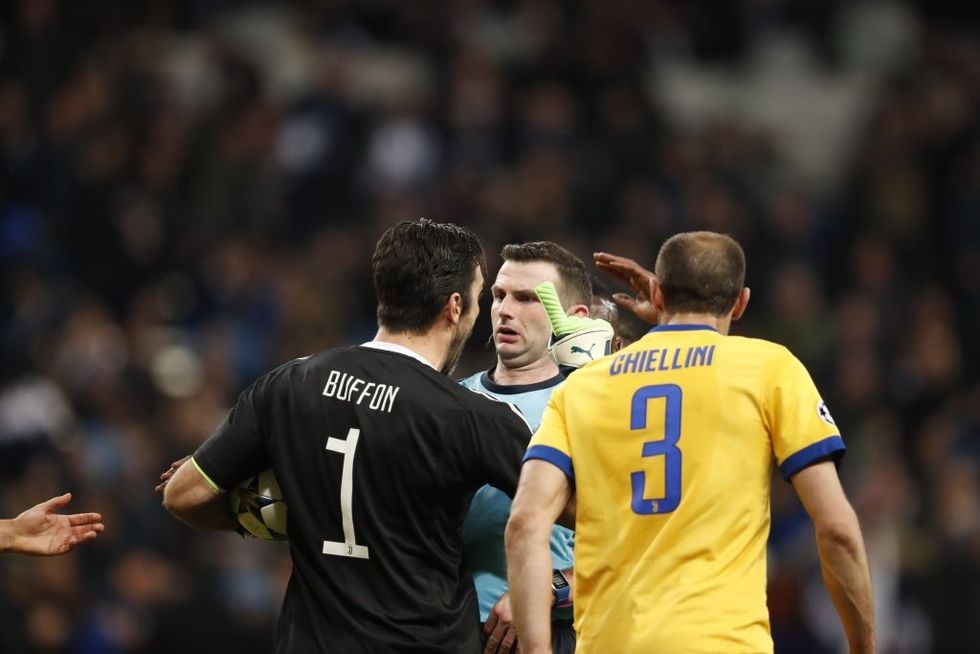 buffon 1