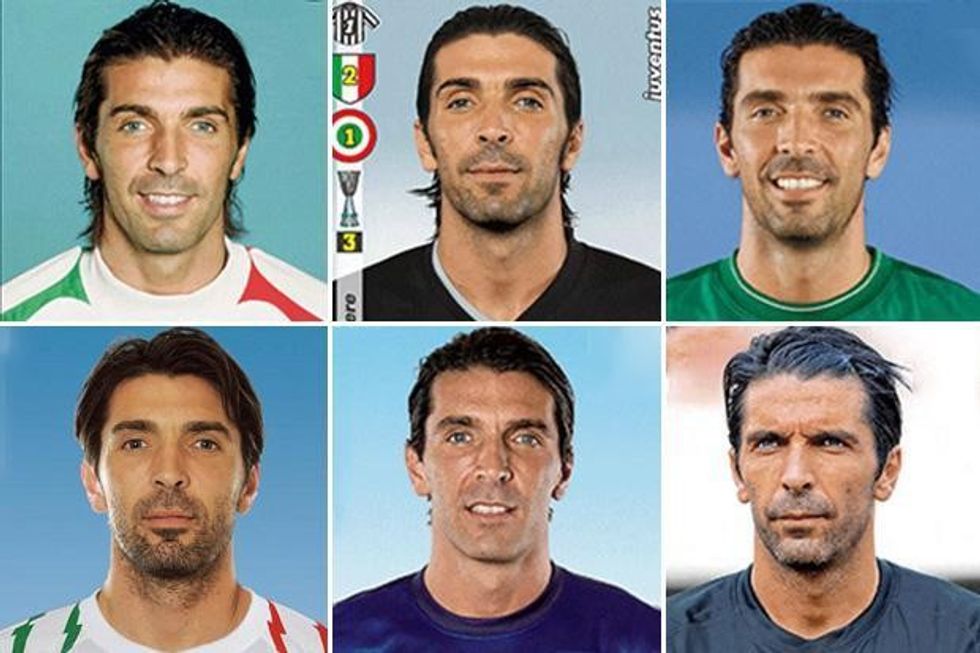 buffon landscape 2