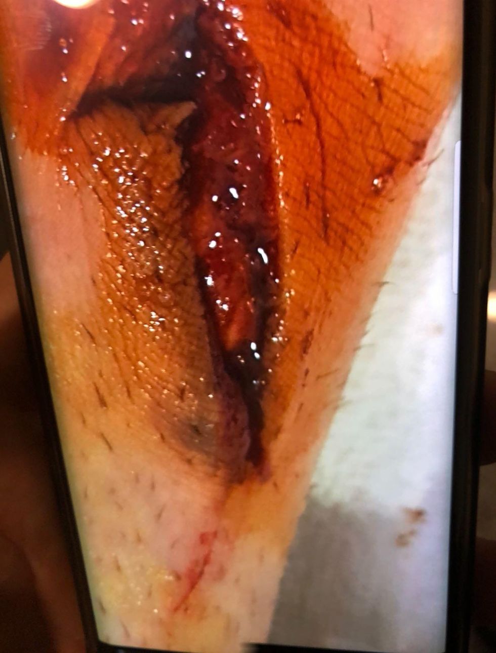 C 2 fotogallery 4536 1 image