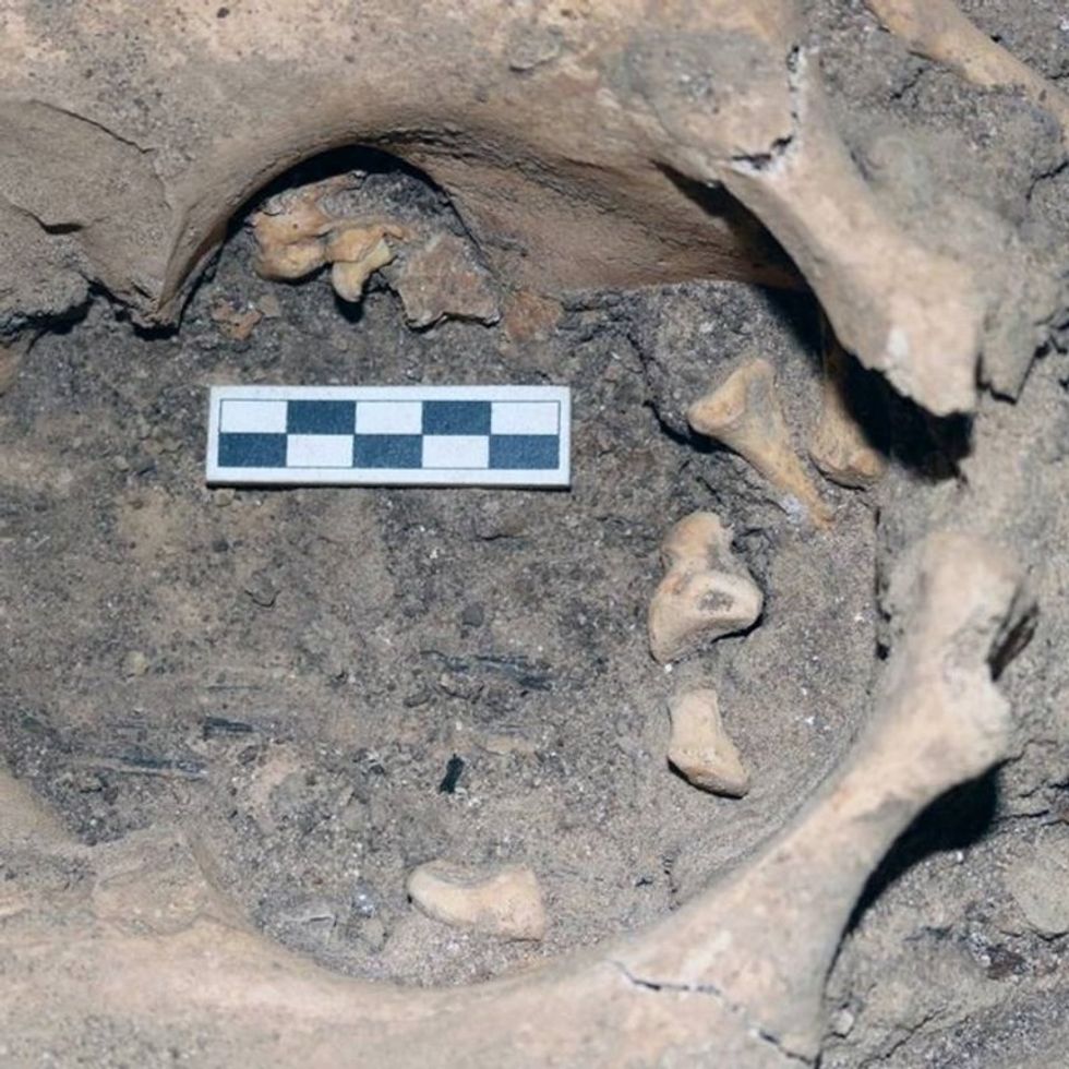 c2628f6b 4e53 4727 bb8a 89e8f8838e12