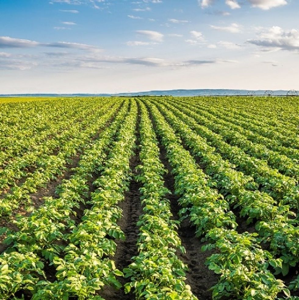 c6c50b37 8ebd 4b2b 9dc1 54fe2d80ff35