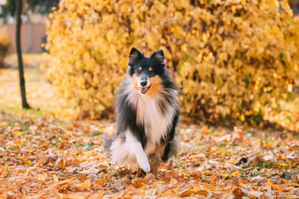 c9752ad4bdaea9883216