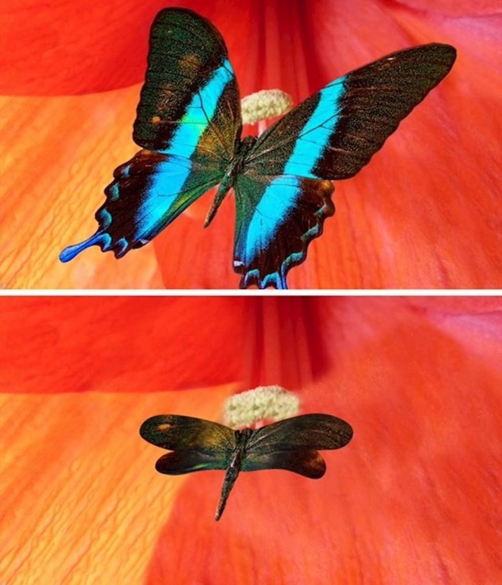 cafc2a9a 4db1 4d39 8a2d 9a7cee0a5abb