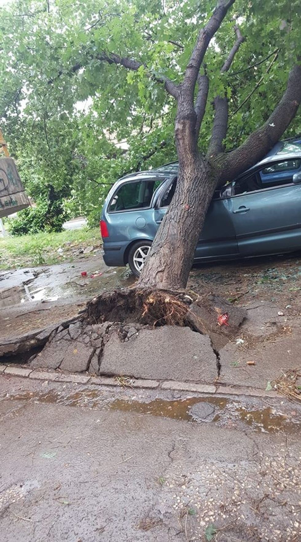 cair kongresi manastirit