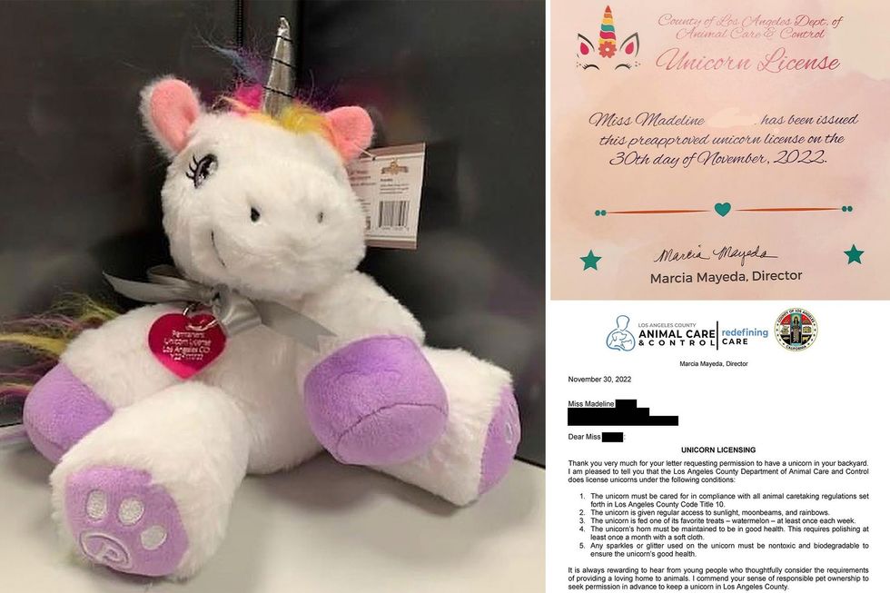 California girl named Madeline gets first-ever license to own a unicorn