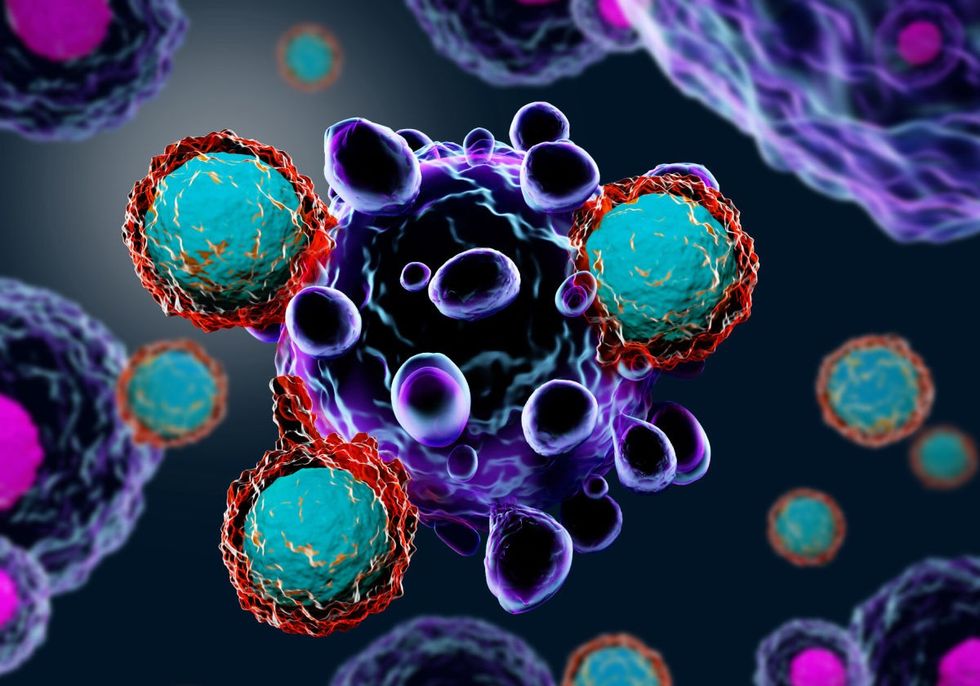 cancer cells article l