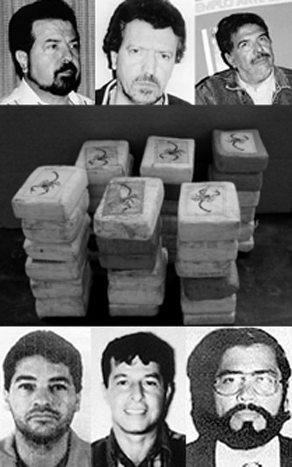 carteldecaliposter 1 copy 1