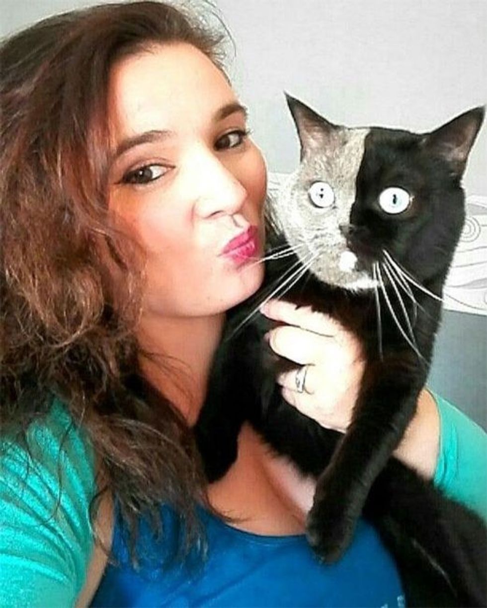 cat with two colored face becomes a father to kittens in each of his colors12 1